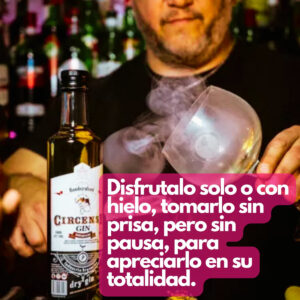 Gin Botella Dry Enebro Circense Premium De Cereal Gin Tonic