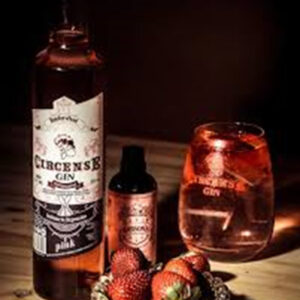 Gin Pink Frutos Rojos Saborizado Circense Botella Premium